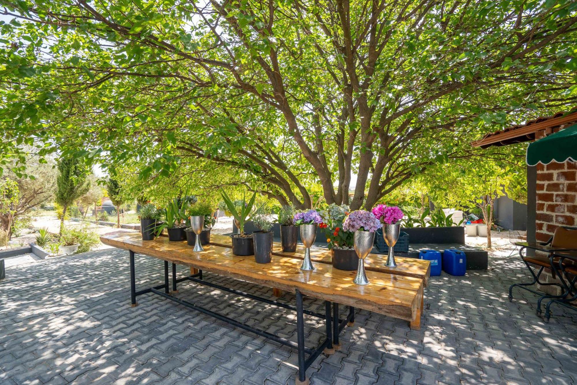 Simlarda Country Club Ayvalik Villa Bagian luar foto